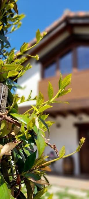 La Casa 44, Con Spa Opcional Sariego Kültér fotó